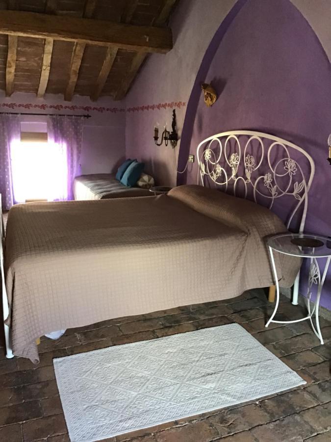 B&B Polirone San Benedetto Po Exteriör bild